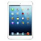 Apple iPad mini 16GB WI Fi