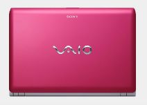 Sony VAIO Y -     