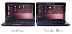 Starling Netbook  2-     .