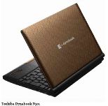 Toshiba Dynabook N301 -     Intel Cedar Trail   